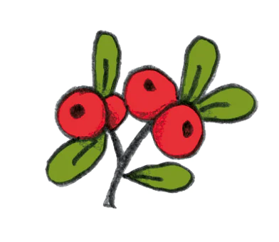 Vitamine C, antioxidanten en tannines voor gezonde urinewegen.