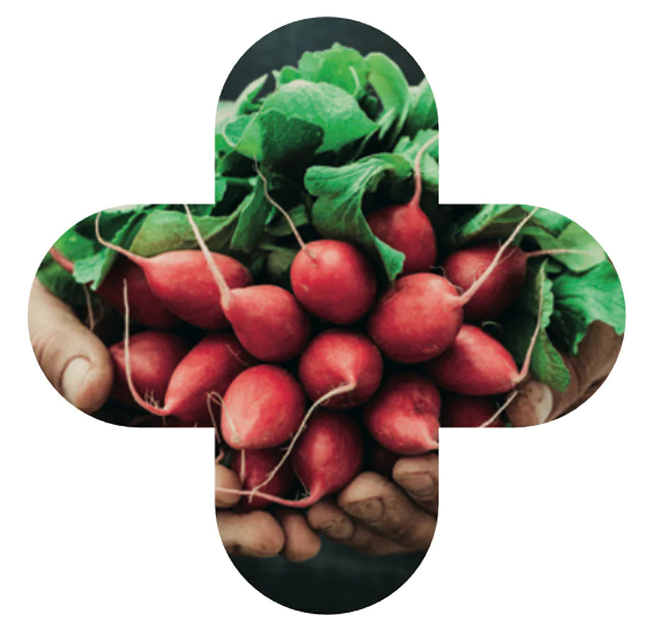 Wij gebruiken natuurlijke ingrediënten van de hoogste kwaliteit.