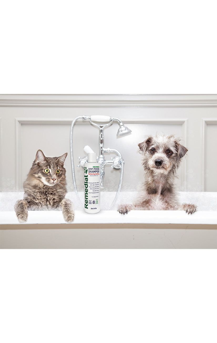 Remedial - Antioxidant Shampoo