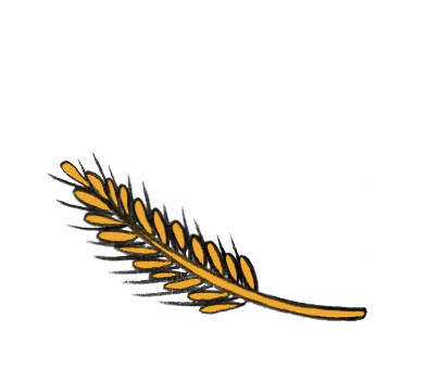 Hoog vezelgehalte, met krachtige betaglucaan, die het cholesterol- en bloedsuikergehalte kunnen verlagen.