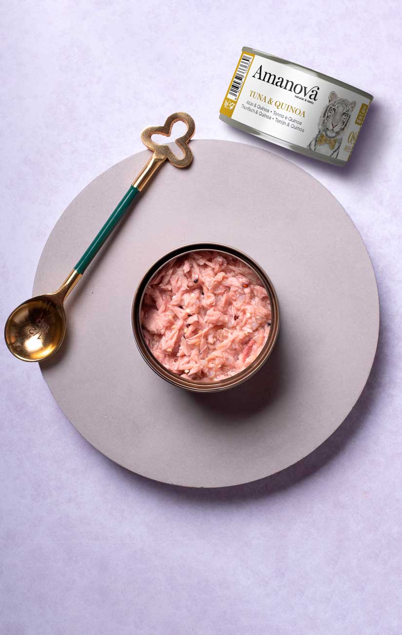 08 In bouillon - Tonijn & Quinoa - 70g