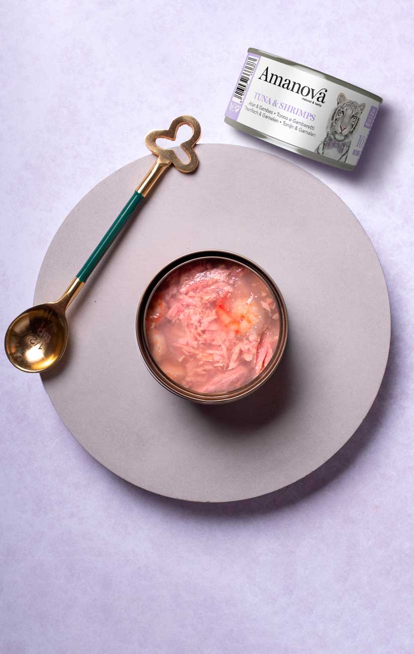 10 In gelatine - Tonijn & Garnalen - 70g