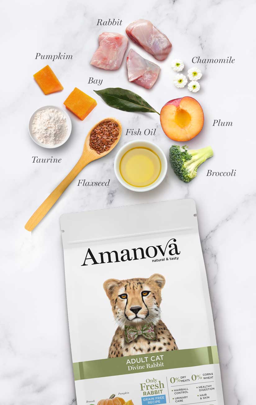 Adult Cat - Divine Rabbit - Vers konijn