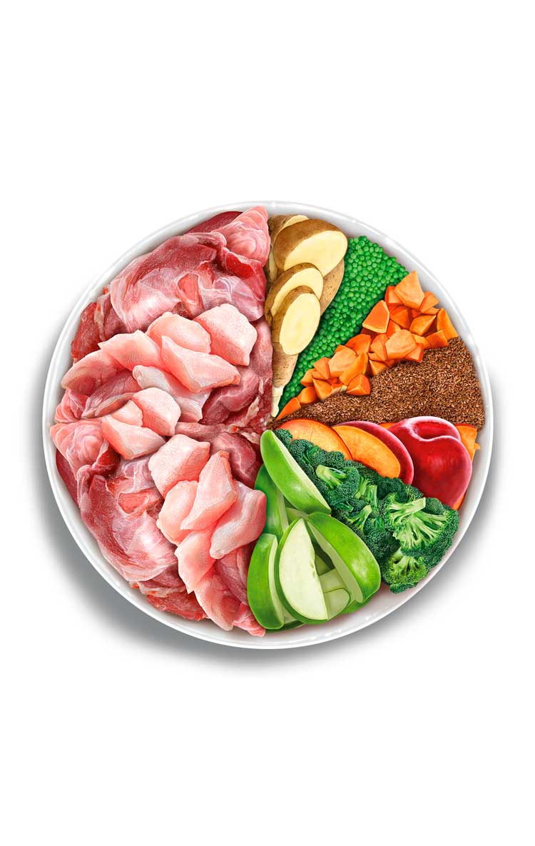 Adult Cat - Divine Rabbit - Vers konijn