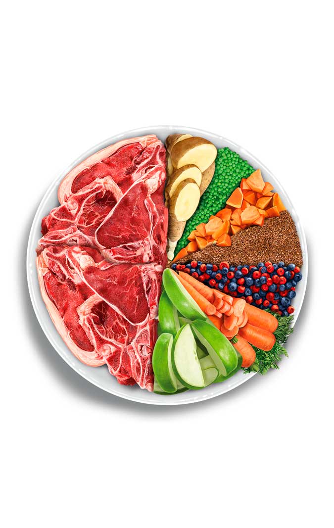 Adult Cat - Delicious Lamb - Vers lamsvlees