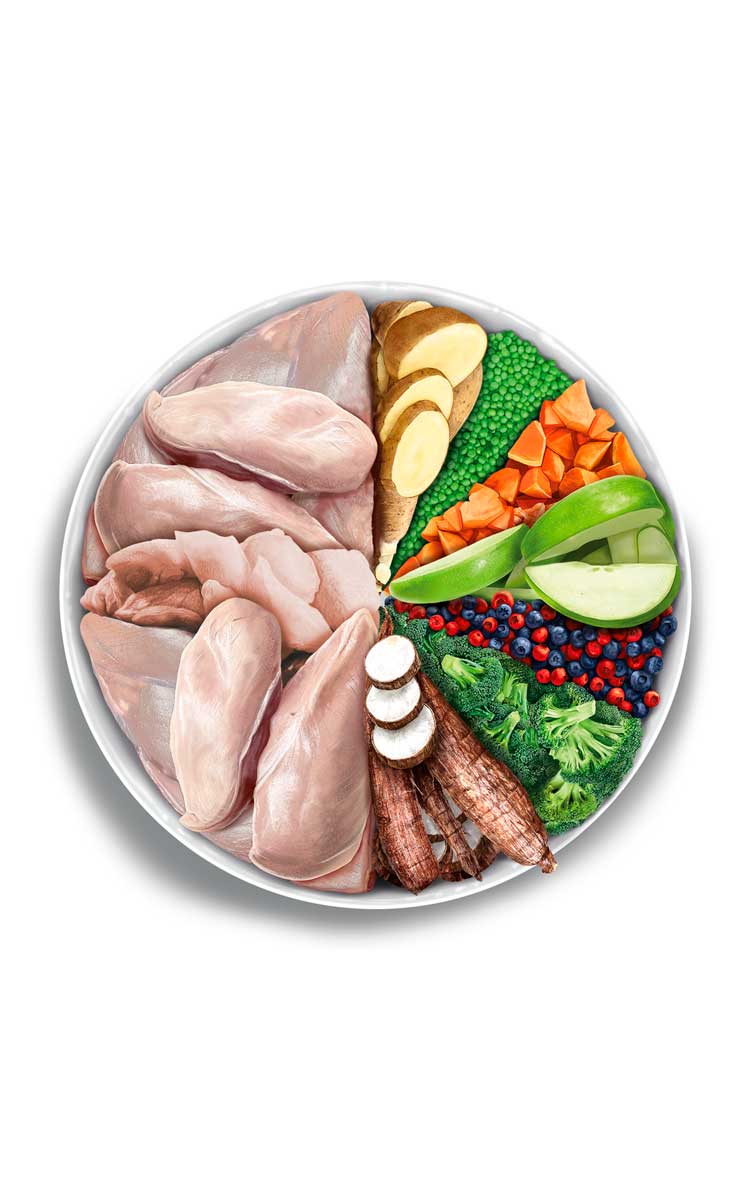 Adult Cat - Turkey Delight - Verse kalkoen