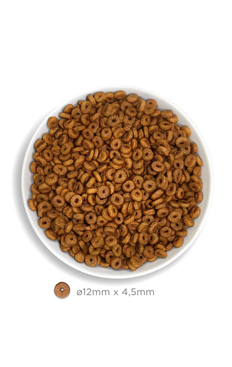 Adult Cat - Salmon Deluxe - Verse zalm