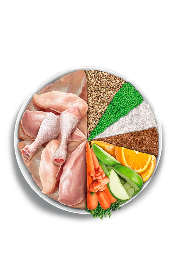 Sterilised Cat - Exquisite Chicken - Verse kip