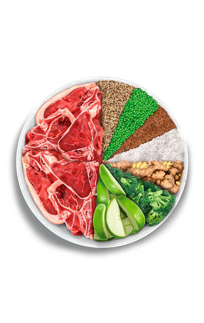 Sterilised Cat - Delicious Lamb - Verse lam