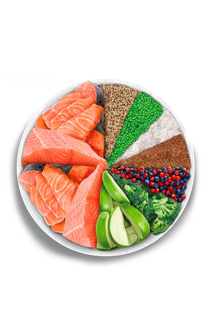 Sterilised Cat - Salmon Deluxe - Verse zalm