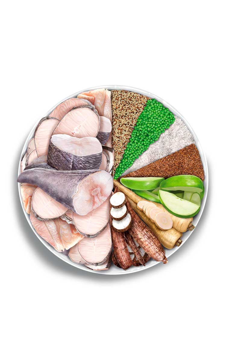 Adult Cat - Fish Delicacy - Verse vis