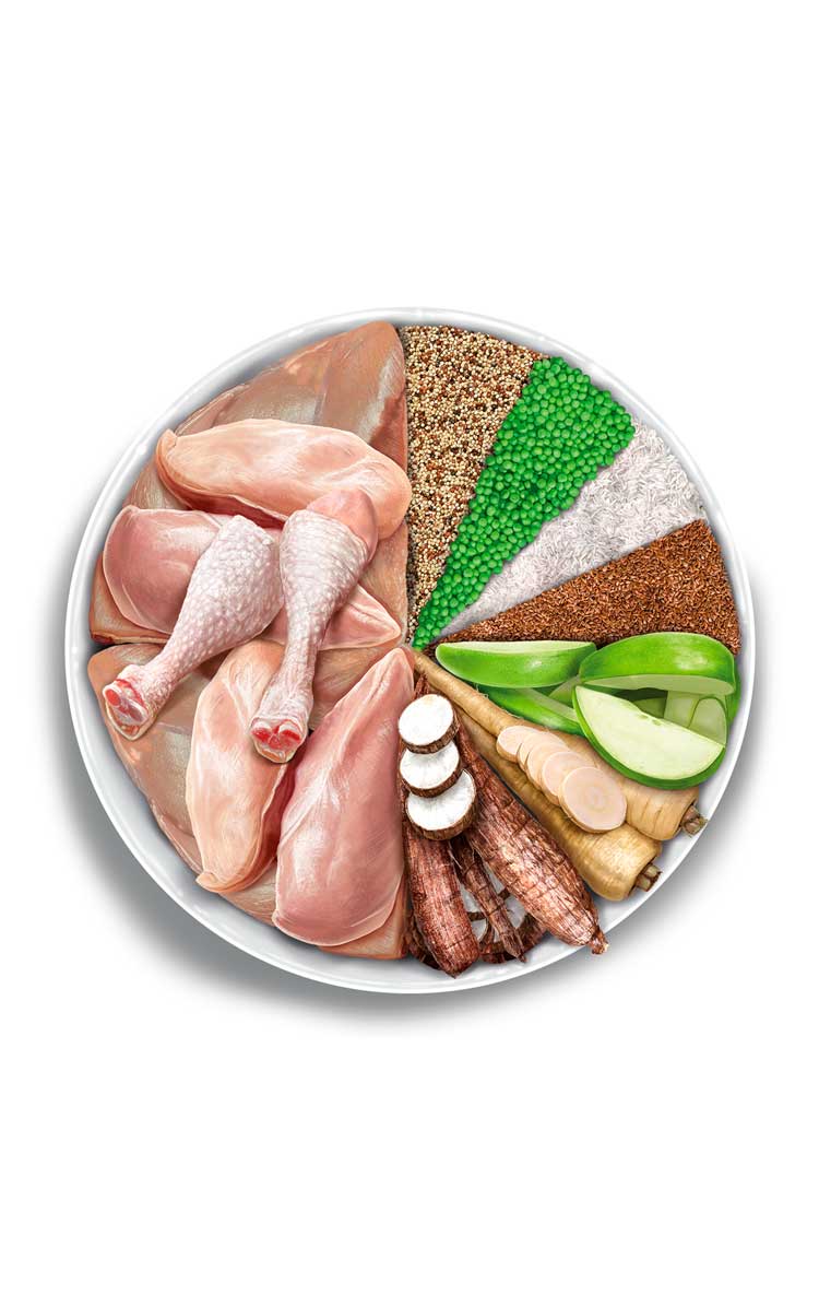 Adult Cat - Exquisite Chicken - Verse kip