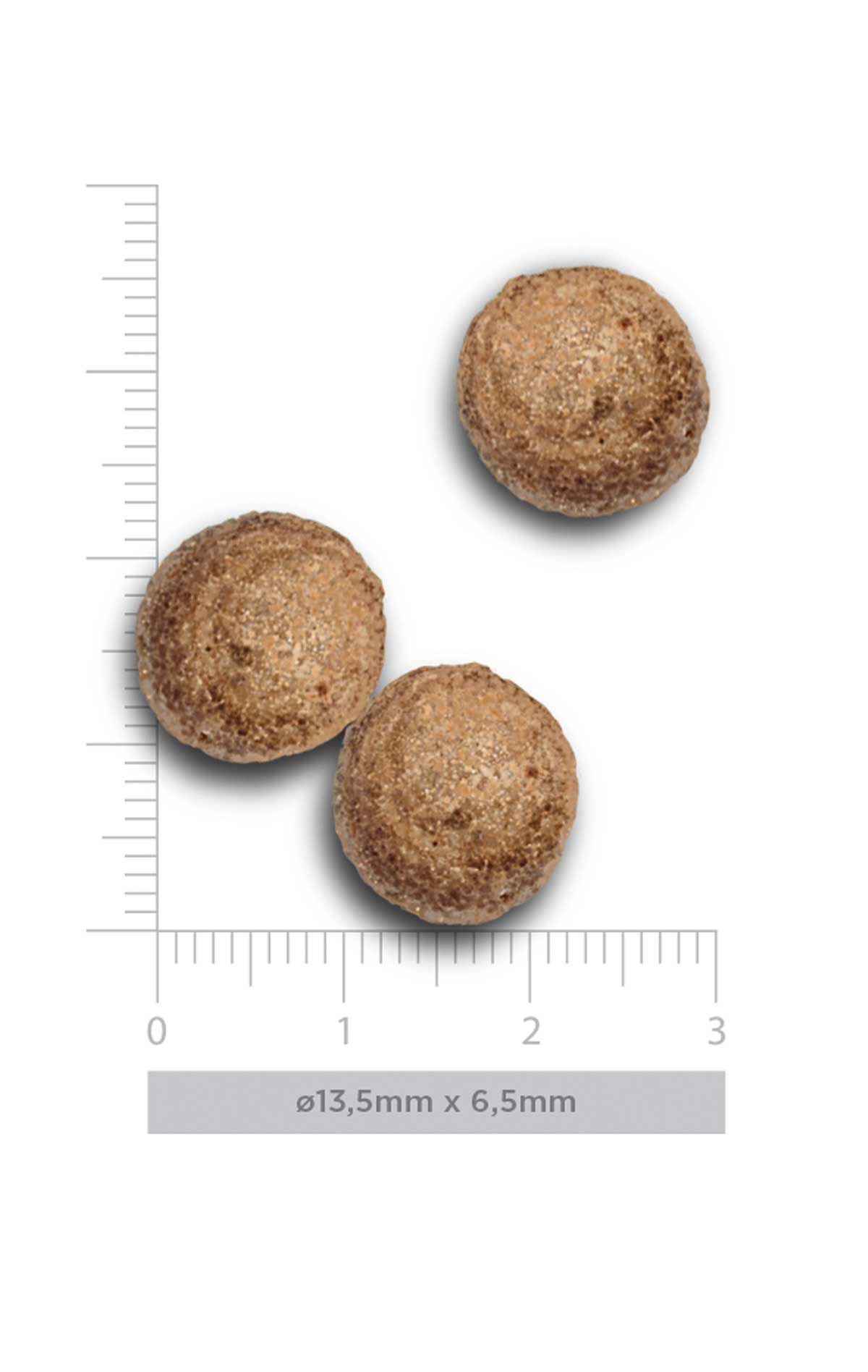 Adult Cat - Exquisite Chicken - Verse kip