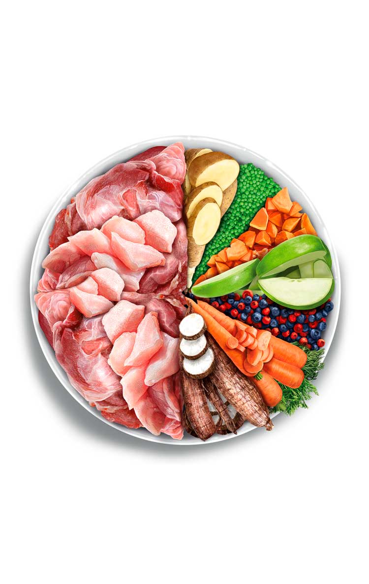 Adult digestive - Divine Rabbit - Vers Konijn