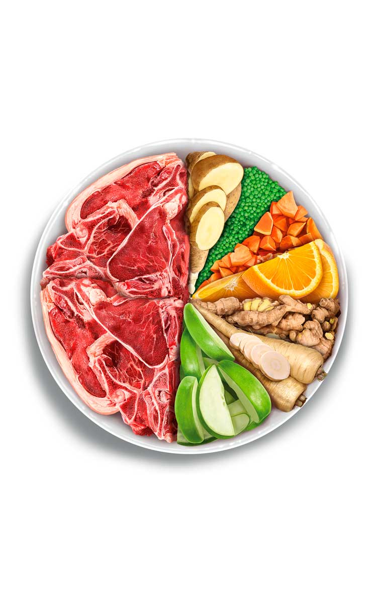 Adult sensitive - Delicious Lamb - Verse Lam