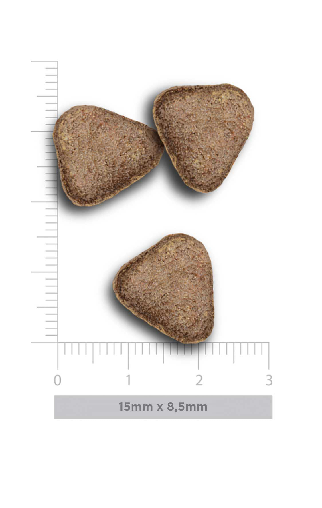 Adult exigent - Iberian Pork - Vers Iberisch Varken