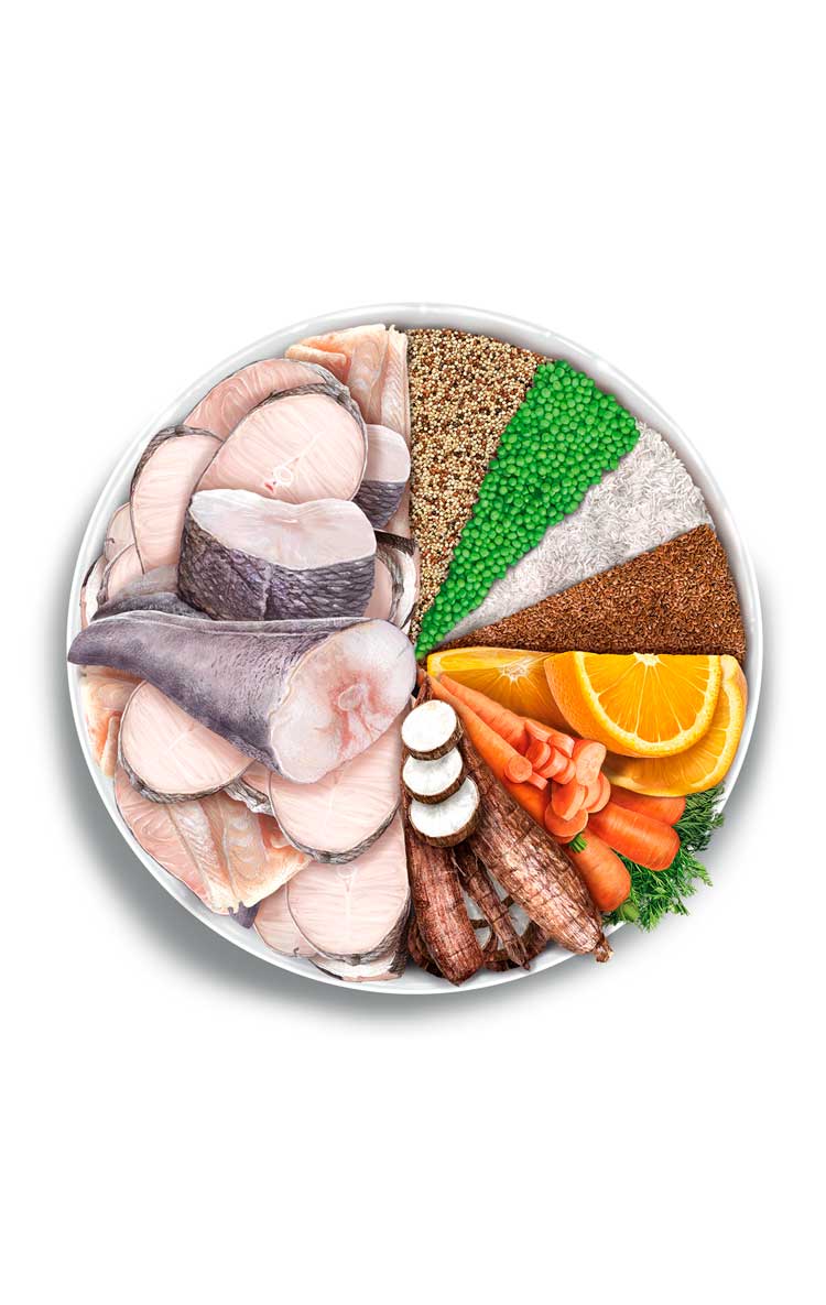 Adult mature - Fish Delicacy - Verse vis