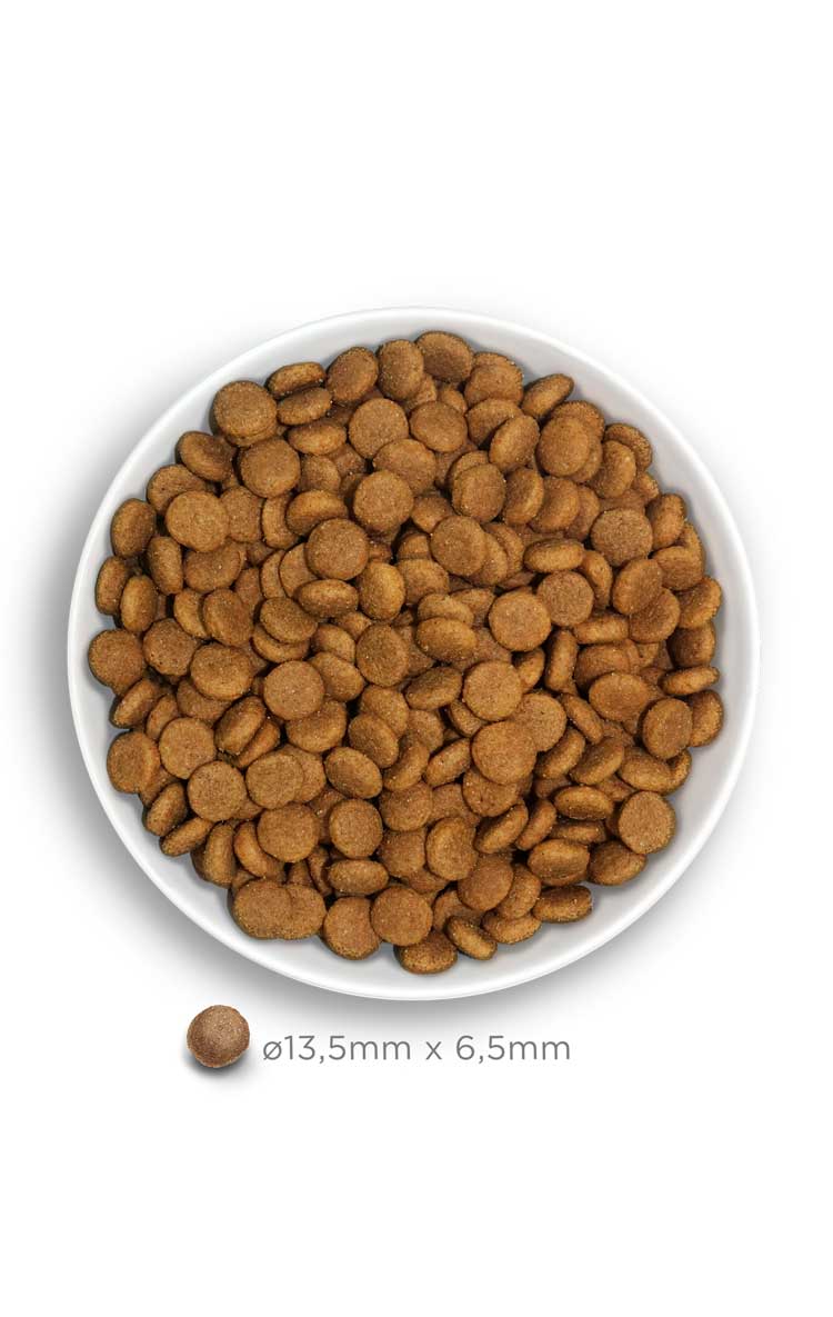 Adult medium - Exquisite Chicken - Verse kip