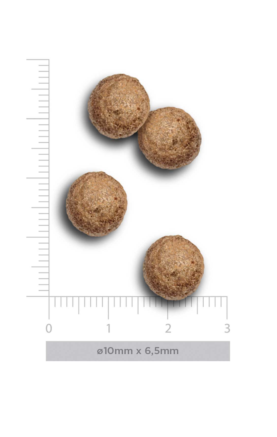 Adult mini - Exquisite Chicken - Verse kip