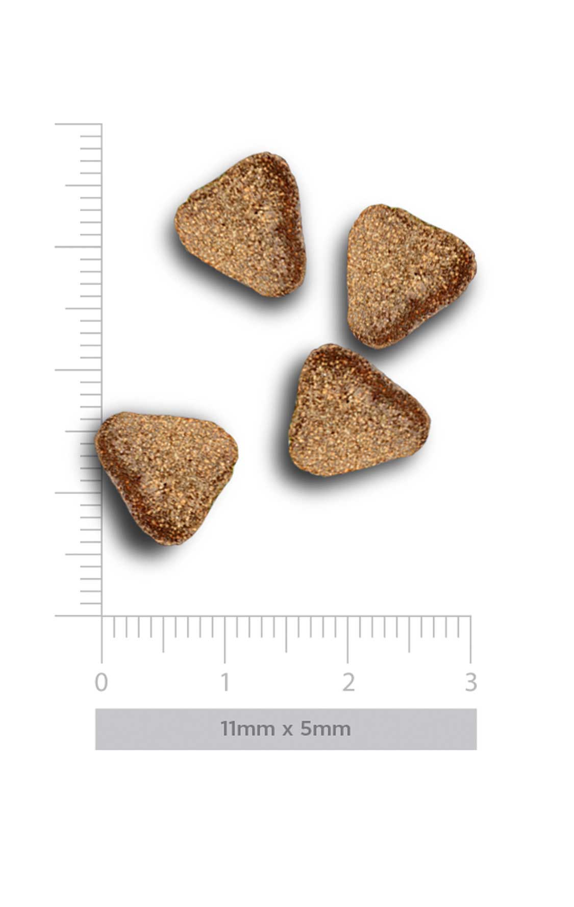 Adult mini exigent - Iberian Pork - Vers Iberisch Varken