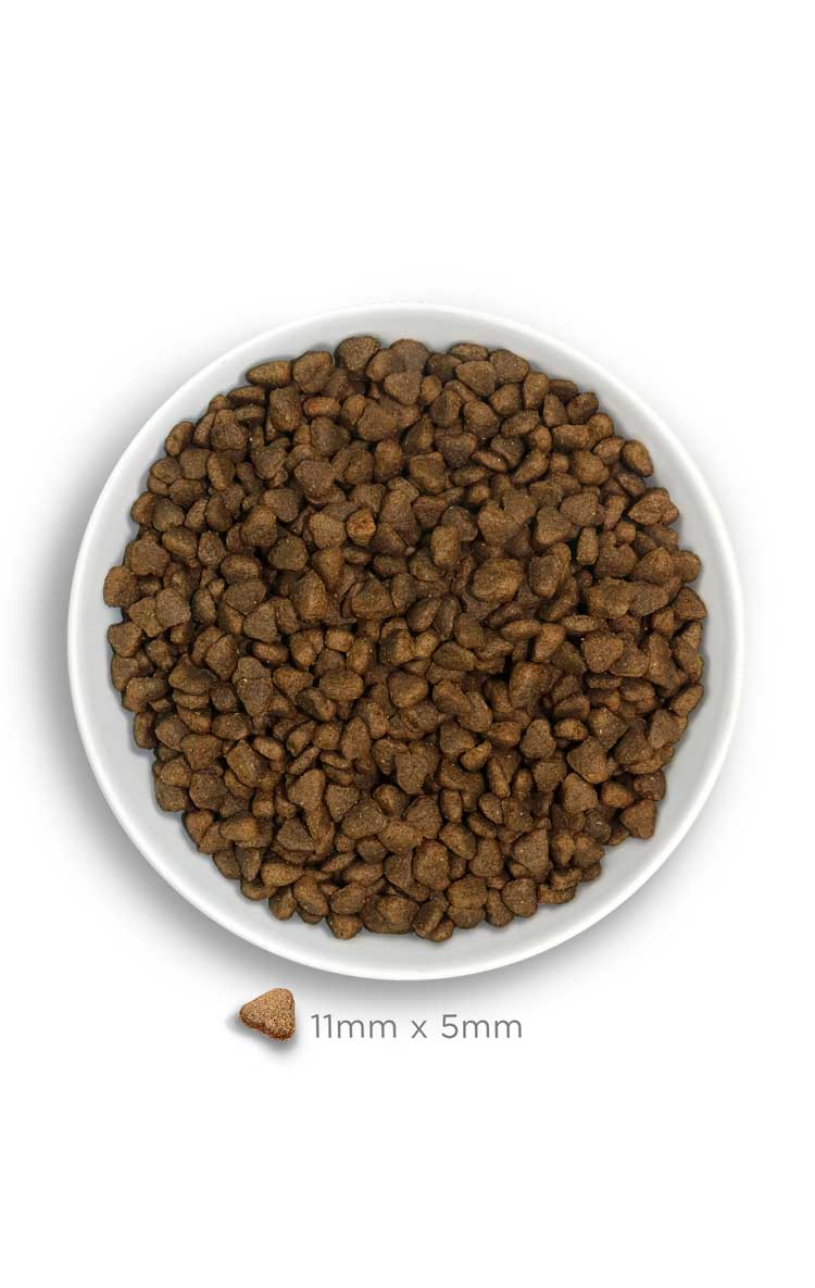 Adult mini sensitive - Delicious Lamb - Verse Lam