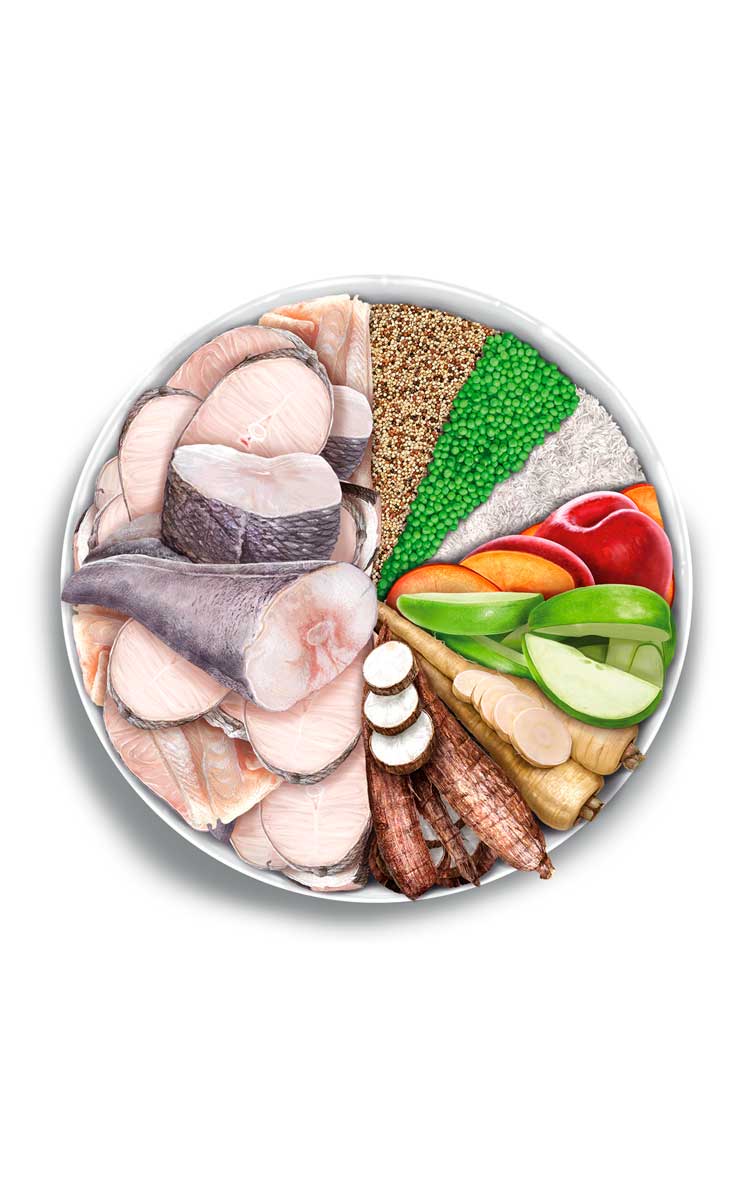 Adult mobility - Fish Delicacy - Verse vis