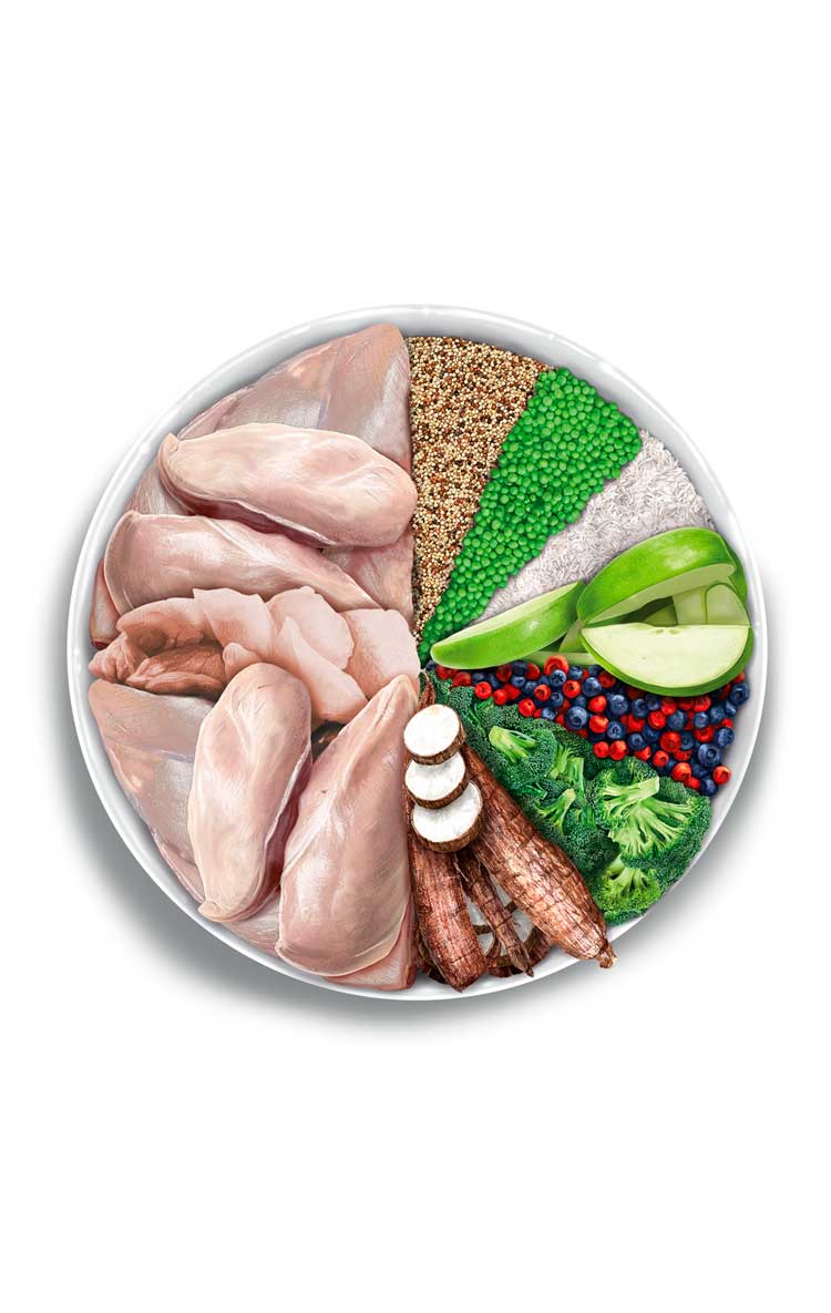 Adult obesity - Turkey Delight - Verse kalkoen