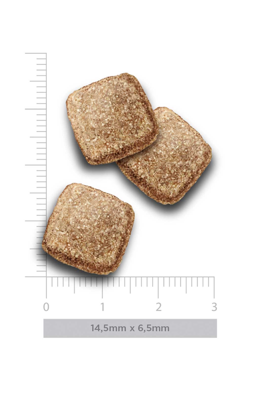 Adult obesity - Turkey Delight - Verse kalkoen