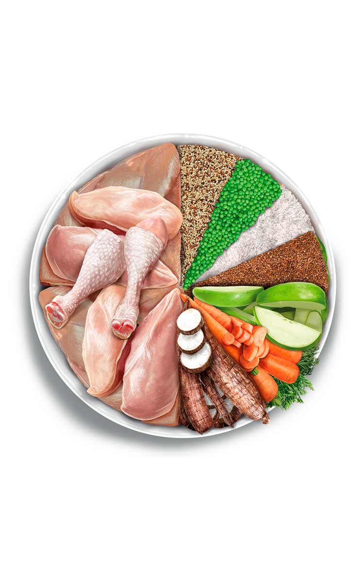 Puppy mini - Exquisite Chicken - Verse Kip