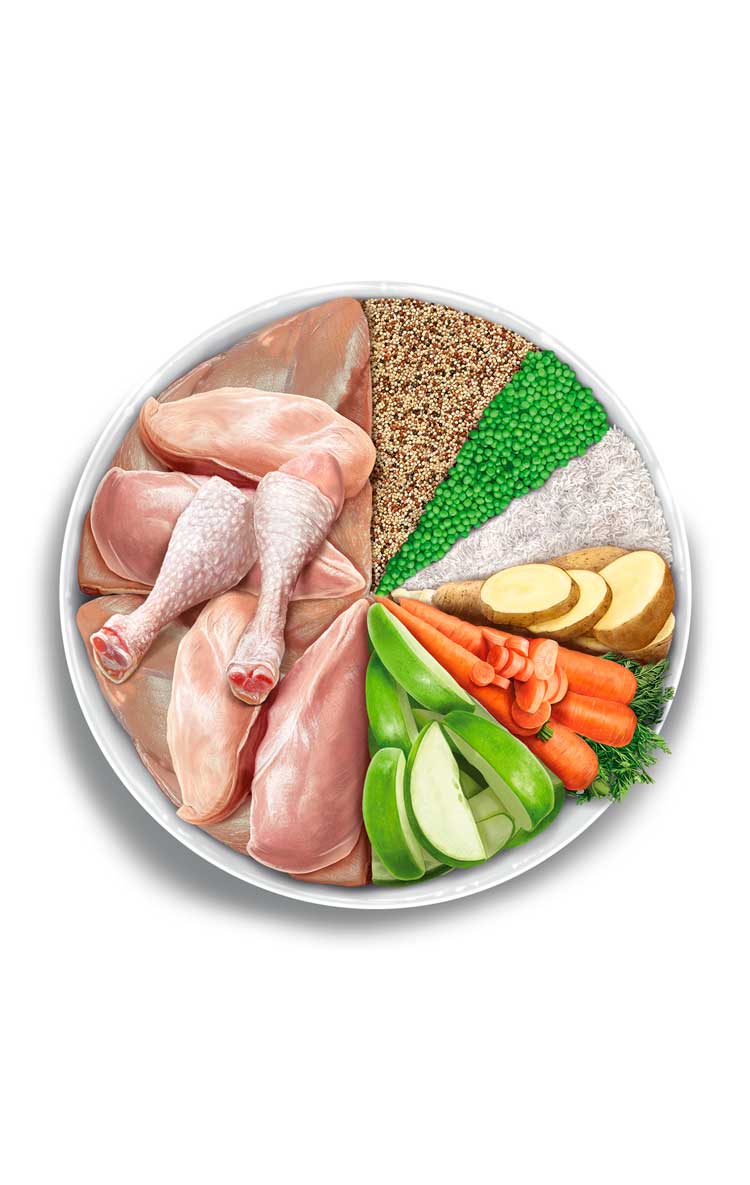 Kitten - Exquisite Chicken - verse kip