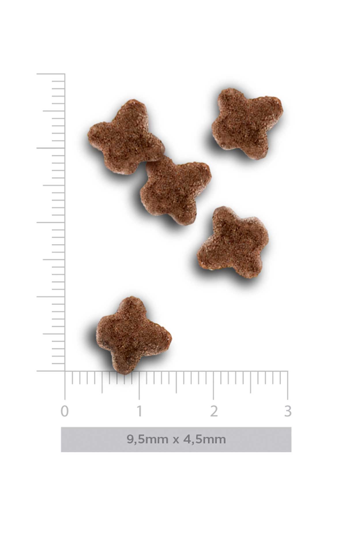 Kitten - Exquisite Chicken - verse kip