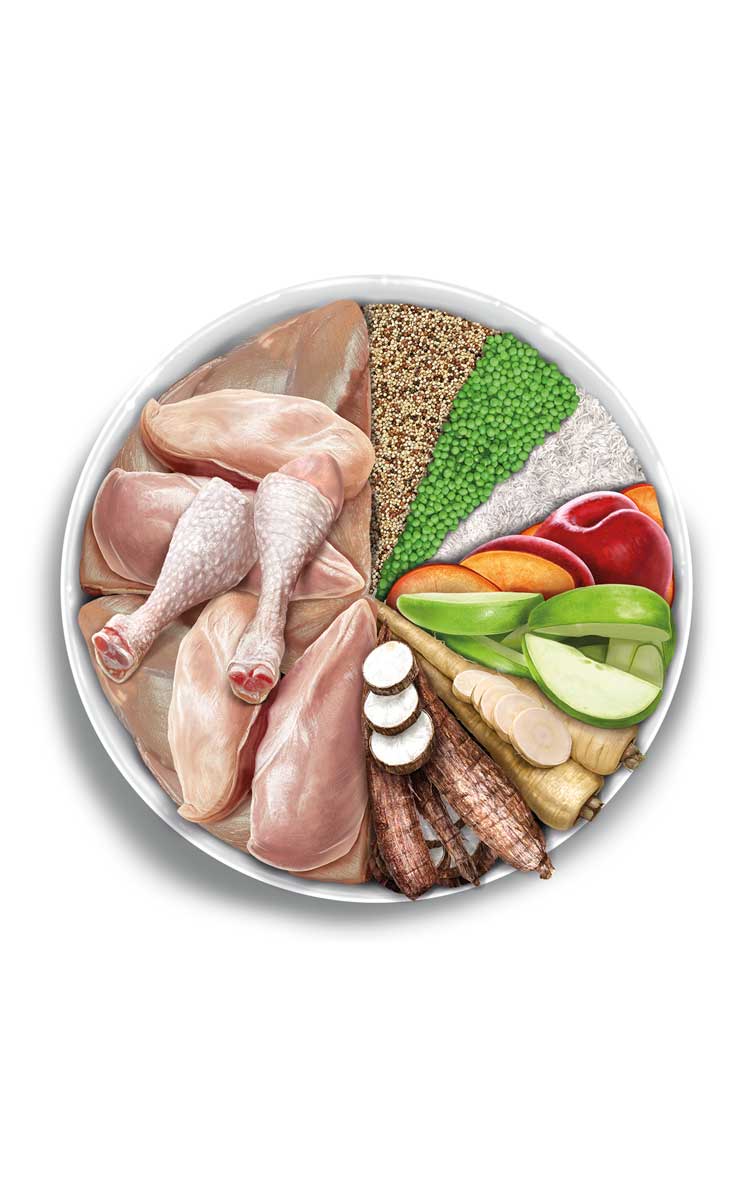 Puppy medium - Exquisite Chicken -  Verse kip