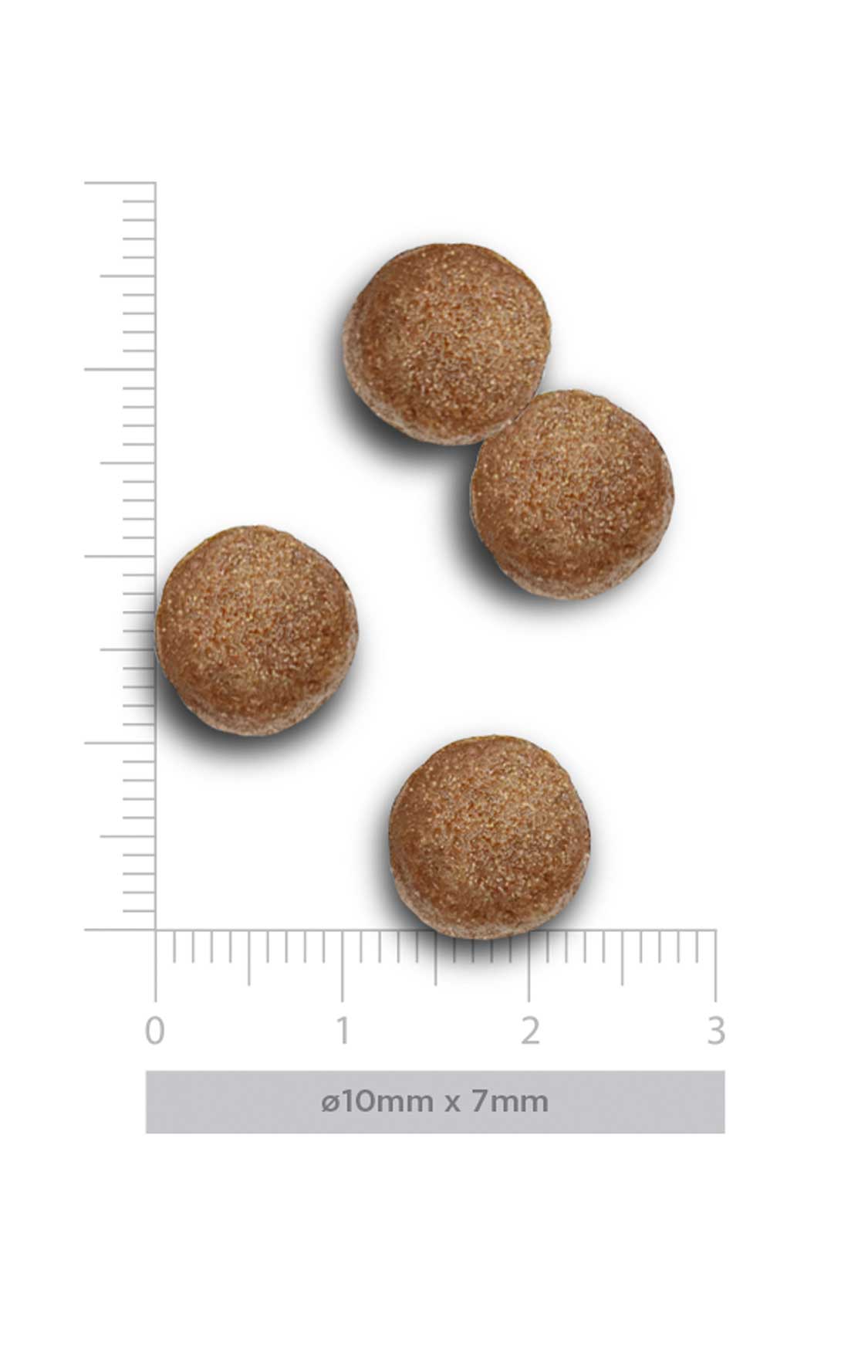 Puppy medium - Exquisite Chicken -  Verse kip