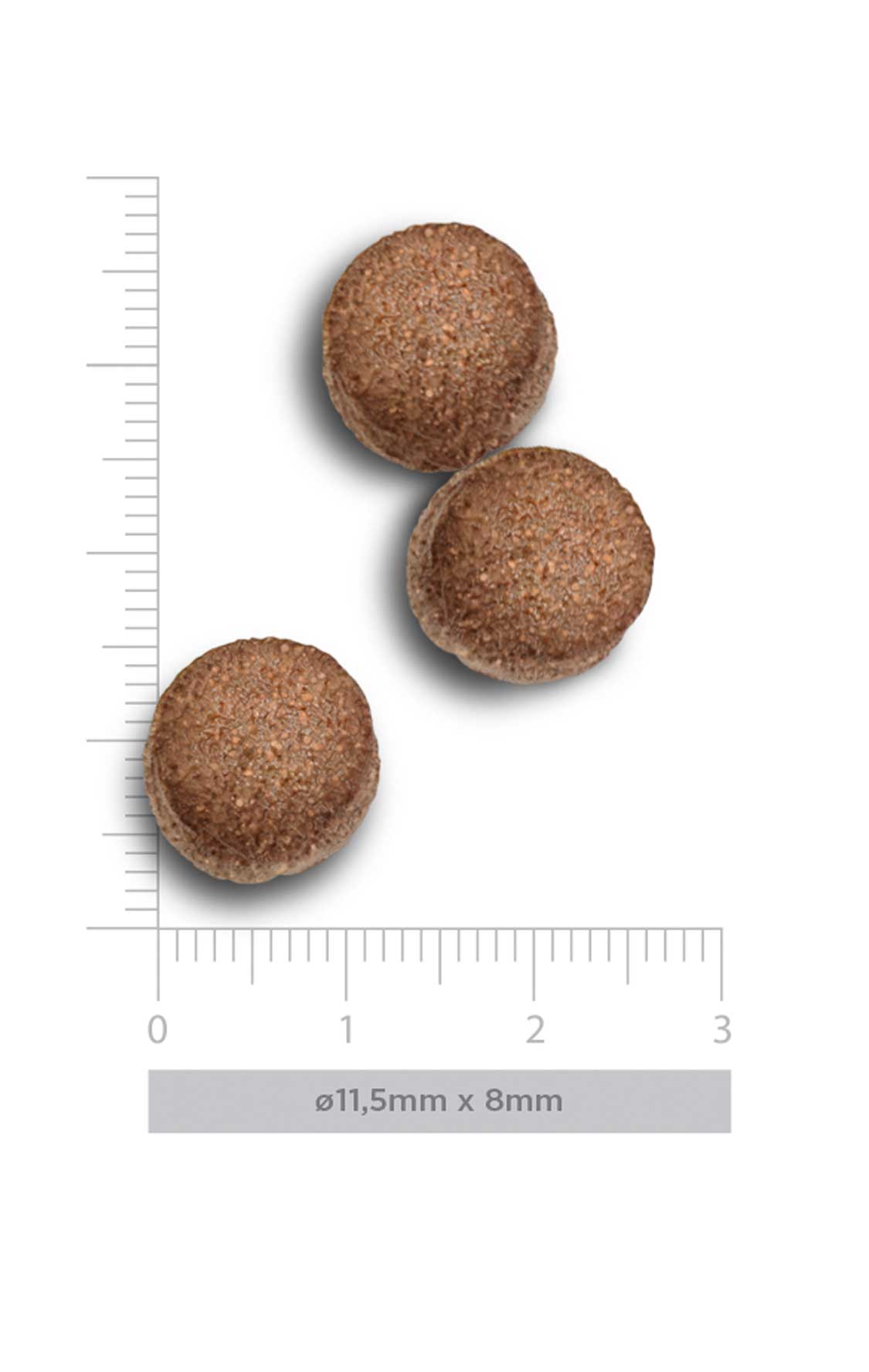 Adult large - Exquisite Chicken - Verse kip