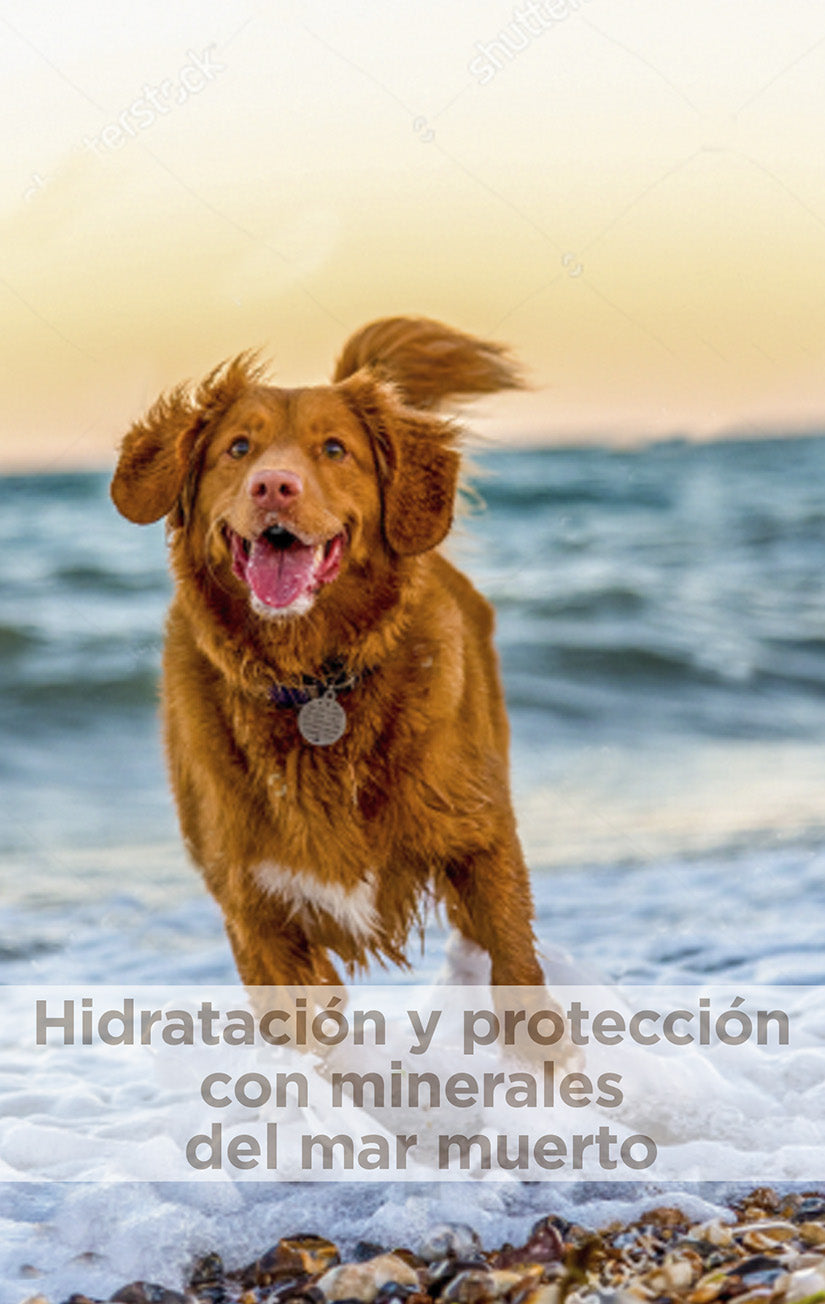 Remedial - MOISTURISING PAW AND NOSE BALM  Vochtinbrengende balsem voor poten en neus van honden en katten