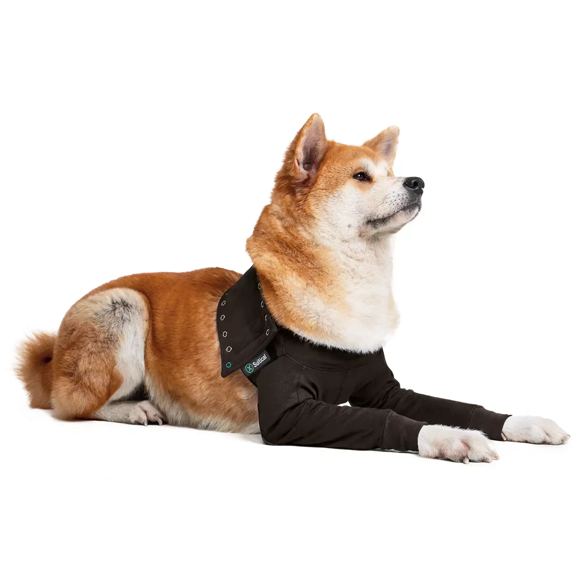 Recovery Double Sleeves® - Dubbele herstelhoes - zwarte kleur