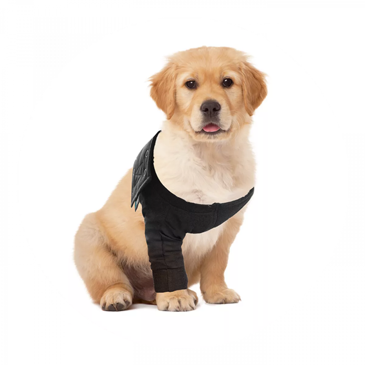 Recovery Sleeve(S)® Hond - Herstelmouw - Kleur zwart