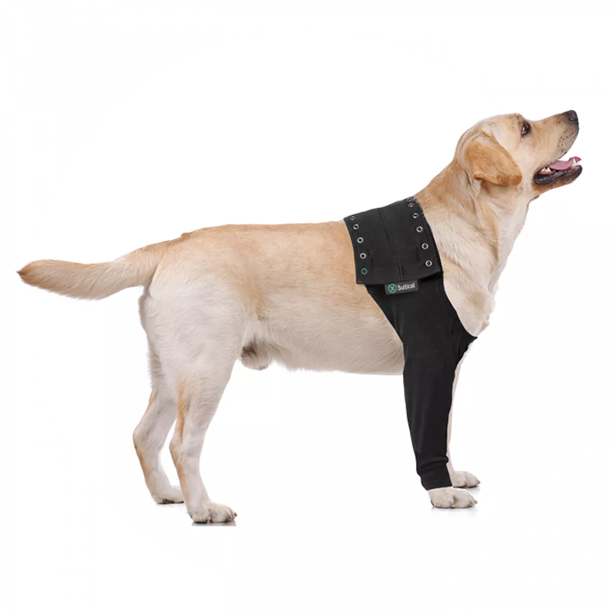Recovery Sleeve(S)® Hond - Herstelmouw - Kleur zwart