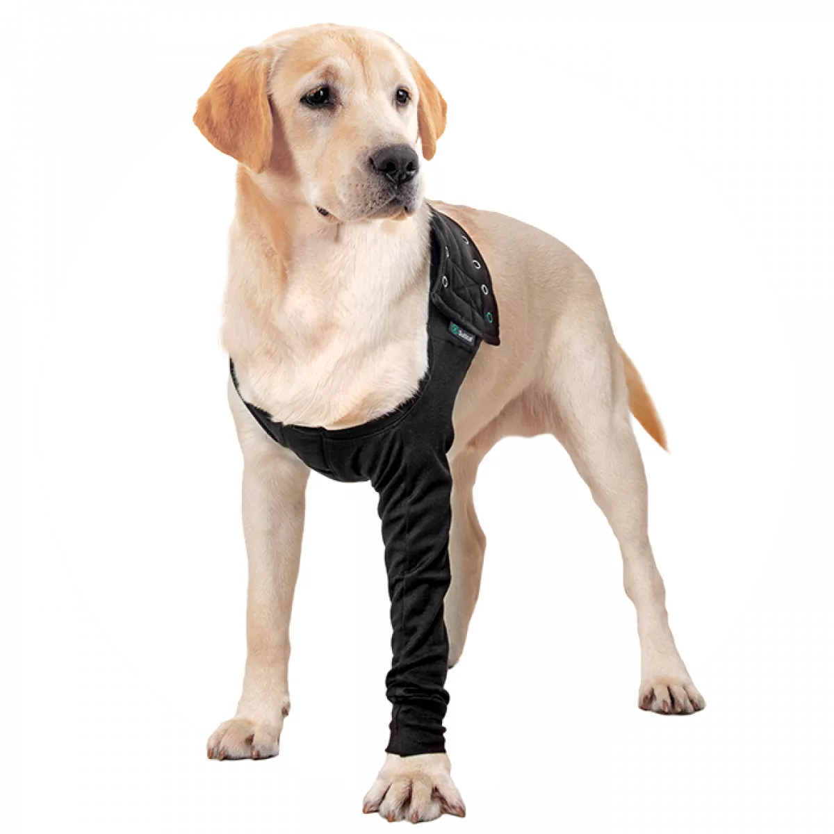 Recovery Sleeve(S)® Hond - Herstelmouw - Kleur zwart