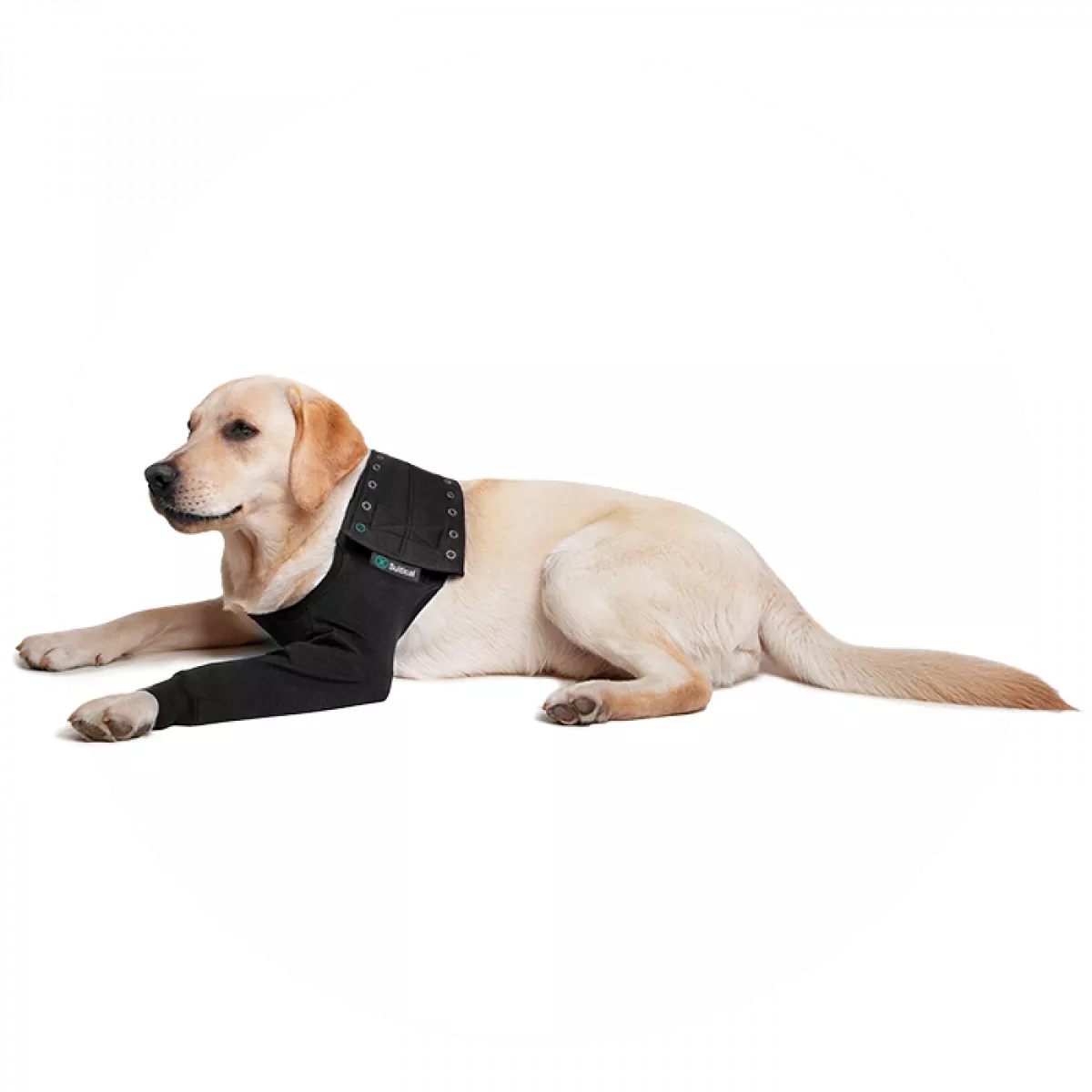 Recovery Sleeve(S)® Hond - Herstelmouw - Kleur zwart