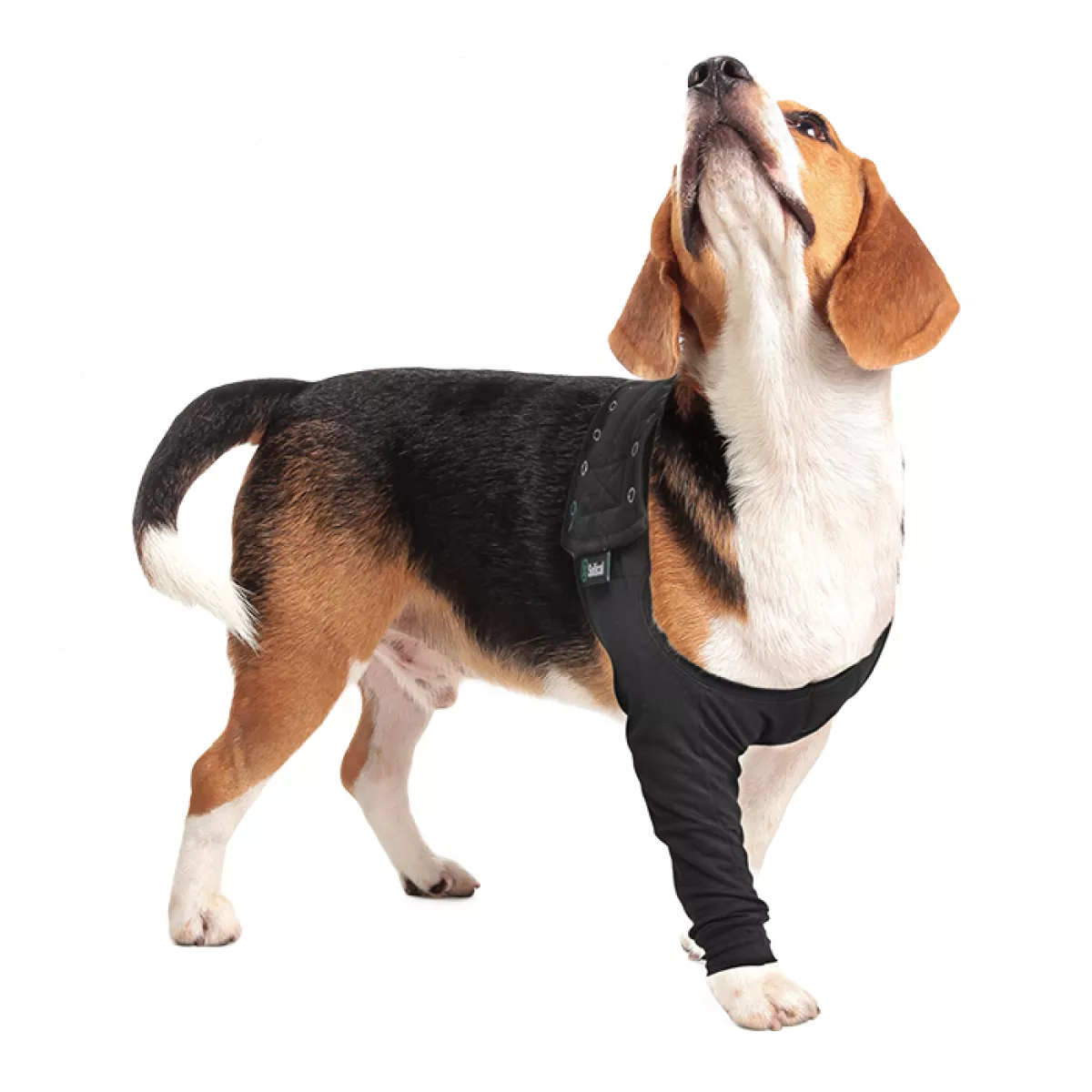 Recovery Sleeve(S)® Hond - Herstelmouw - Kleur zwart