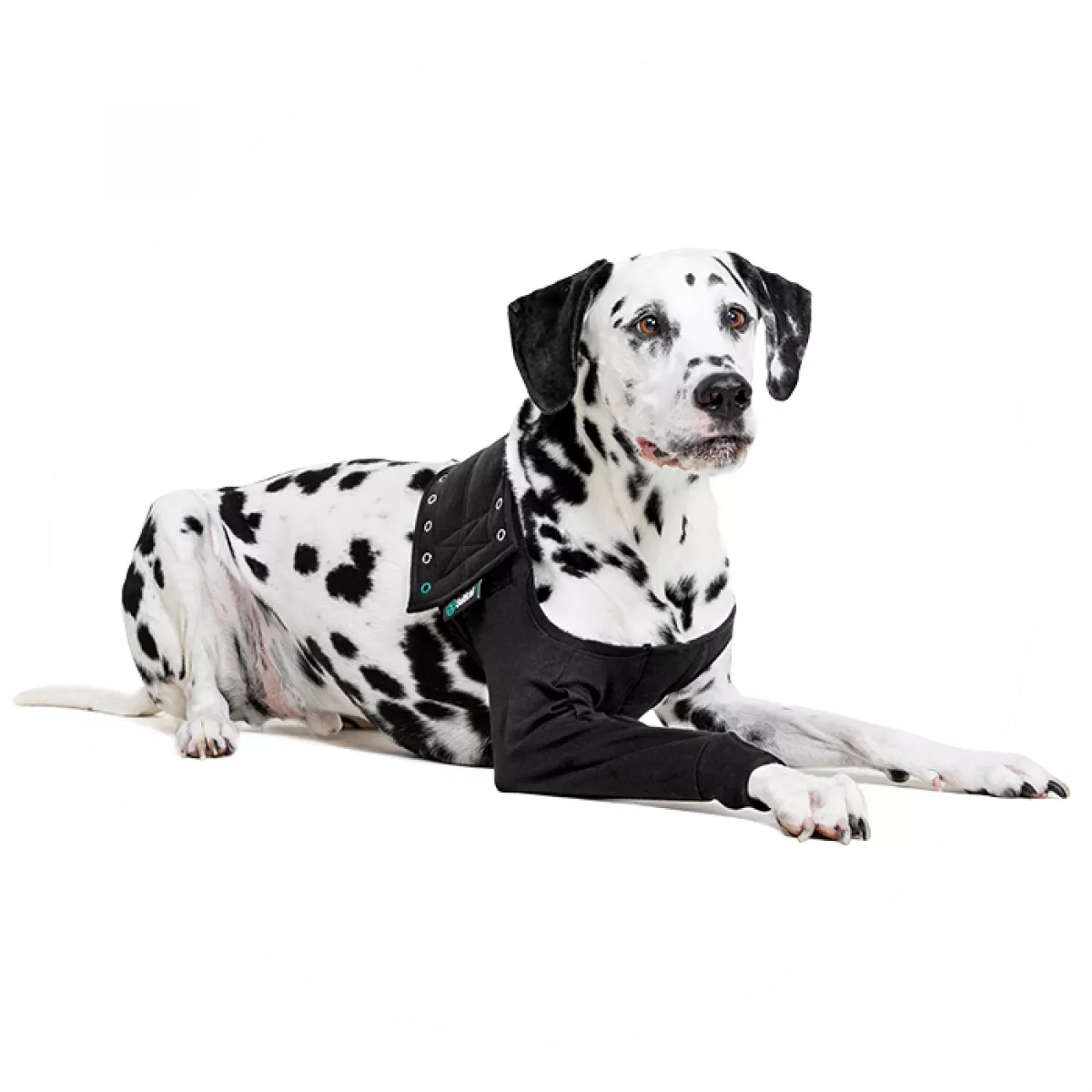 Recovery Sleeve(S)® Hond - Herstelmouw - Kleur zwart
