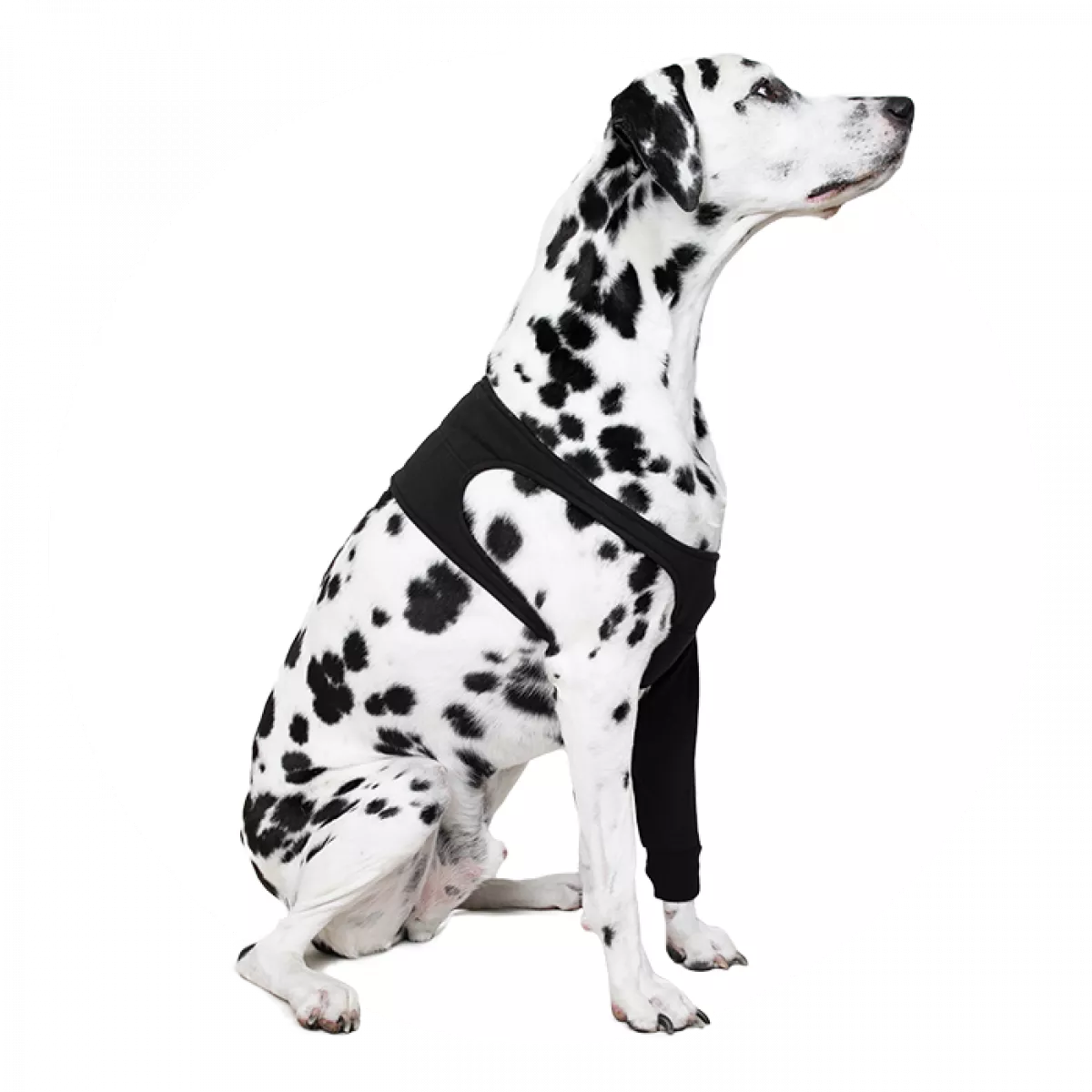 Recovery Sleeve(S)® Hond - Herstelmouw - Kleur zwart